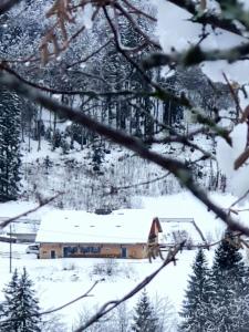 SeptmoncelにあるGite le chapyの森の雪に覆われた納屋