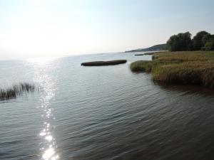 a large body of water with grass and trees at Holiday appartment, Sulomino 100 qm, 2 rooms, 4 persons, type C in Sułomino