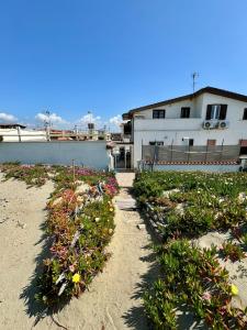 una fila de plantas frente a un edificio en Casa Romeo - Sea View Apartment, en Focene