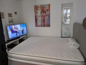 TV a/nebo společenská místnost v ubytování historisches Altstadt Apartment