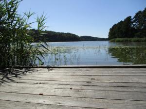 ein Holzsteg neben einem Gewässer in der Unterkunft Bungalow in Kolczewo with parking space in Kołczewo