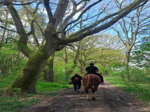 due persone a cavallo lungo una strada sterrata con un albero di Chalet, Wendorf a Wendorf