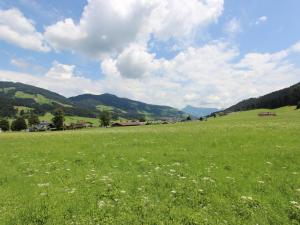 un campo de césped verde con montañas en el fondo en Modern Apartment in Kirchdorf with Garden, en Kirchdorf in Tirol 16 fotos más