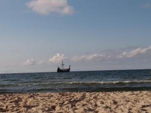 Naturlandskabet i nærheden af feriehuset