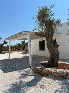 Hoone, kus villa asub +24 fotot