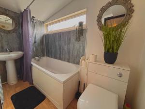 ห้องน้ำของ Brecon Town Centre Apartment - Sleeps up to 4 Guests