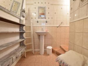 a small bathroom with a sink and a shower at Charming Gîte in France for a Private Getaway in Mézy-Moulins +13 photos