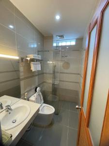 a bathroom with a toilet and a sink and a shower at My Dream Hotel in Vung Tau