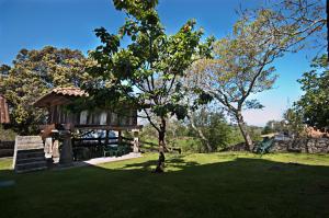 un piccolo albero in un cortile con un edificio di Apartamentos el Cueto de los Collado a Villanueva de Pría