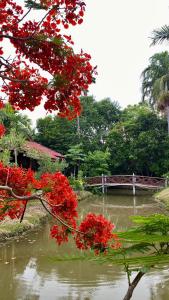 Příroda nedaleko prázdninového domu