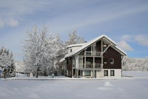 a house with snow on the ground in front of it at Seewiese 01 Seeblick mit Hochschwarzwald-Card in Titisee-Neustadt