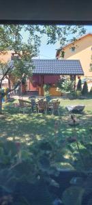 Fotografie z fotogalerie ubytování Andrić v destinaci Gračac