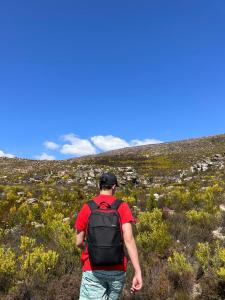 Gallery image of Bokdriftgasteplaas in Barrydale +27 photos