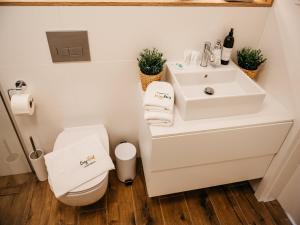 a bathroom with a sink and a toilet at Luxury apartment close to the beach, Pobierowo in Pobierowo