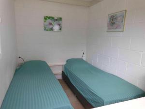 two beds in a small room with green sheets at Pretty home in Sint Maartenszee in Sint Maartenszee