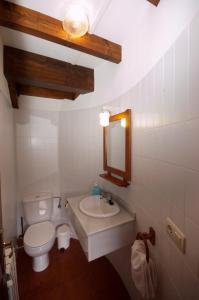 un bagno con un water, un lavandino e uno specchio di Apartamentos el Cueto de los Collado a Villanueva de Pría