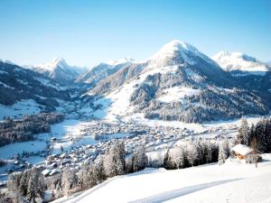 キルヒベルク・イン・チロルにあるGipfelglück Classicの雪山の町