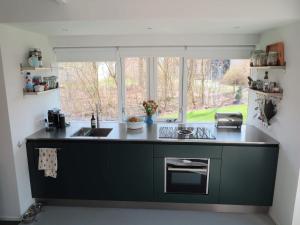 a kitchen with green cabinets and a sink and a window at Holiday Home in Dishoek near Southern Beach in Dishoek
