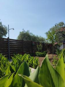 ポトスにあるVILLA IATROUのギャラリーの写真 +42枚の写真