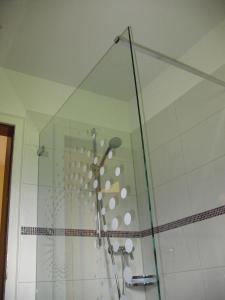 a shower with a glass door in a bathroom at Seewiese 01 Seeblick mit Hochschwarzwald-Card in Titisee-Neustadt