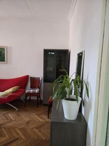 a living room with a potted plant on a table at Cozy home office in Vake in Tbilisi City