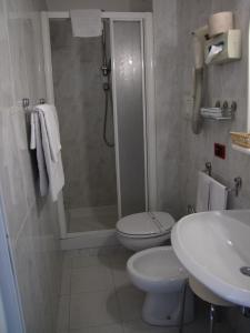 ein Bad mit einer Dusche, einem WC und einem Waschbecken in der Unterkunft Hotel Il Falchetto in Pontedera