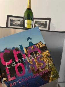 Fotografie z fotogalerie ubytování L’APPART23 v destinaci Châlons-en-Champagne