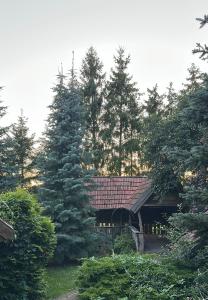 Zahrada ubytování Sielski Loft Mazury w pobliżu jezior, Elganowo, Pasym + 9 fotografií