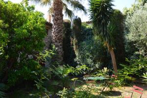 a garden with palm trees and other plants at Chambres d'hotes lecortile in Villeneuve-lès-Maguelonne