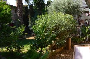 a garden with trees and plants in a yard at Chambres d'hotes lecortile in Villeneuve-lès-Maguelonne +2 photos