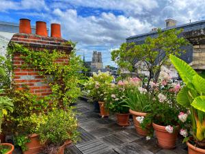 a row of potted plants on a roof at Hôtel de l'Abeille in Orléans