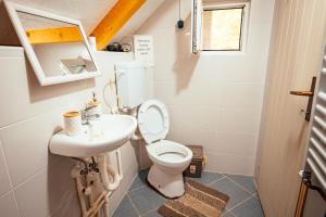a small bathroom with a toilet and a sink at STD Stara Vodenica in Crni Vrh