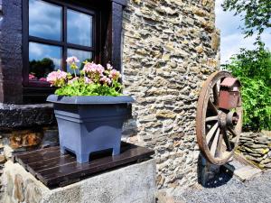 a pot of flowers next to a window and a wheel at Romantic holiday house in the Ardennes in Nadrin