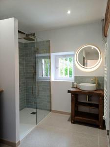 a bathroom with a shower and a sink and a mirror at Petite maison cosy à Moret-sur-Loing, cour privée in Moret-sur-Loing