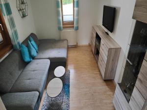 a living room with a couch and a flat screen tv at Apartment in Niedernsill near Ski Slopes in Niedernsill