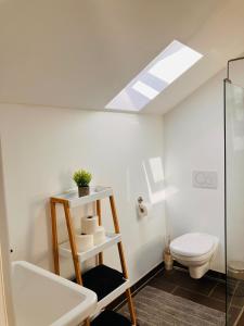 a bathroom with a toilet and a skylight at Moderne Dachgeschosswohnung an der Donau in Mariaposching