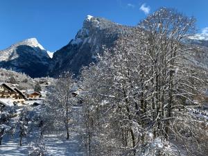 un groupe d'arbres recouvert de neige devant une montagne dans l'établissement Bel appartement Samoëns 72m2, à Samoëns