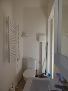 a white bathroom with a toilet and a sink at Maisonnette au bord du Sierroz in Aix-les-Bains
