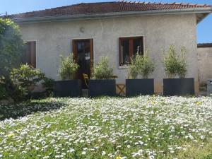 a house with a field of flowers in front of it at Maisonnette au bord du Sierroz in Aix-les-Bains