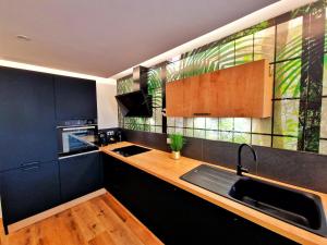 Kuchyň nebo kuchyňský kout v ubytování BALI SPA-4 Pers-Jacuzzi-Parking-Jardin-Clim-Colmar
