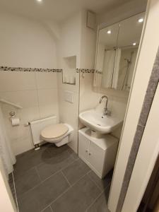 a bathroom with a toilet and a sink at Ferienunterkunft Barsinghausen in Barsinghausen