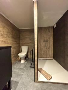 a bathroom with a shower and a toilet in it at LOVE IN CINÉ Appartement cinéma balnéo in Pamiers +5 photos