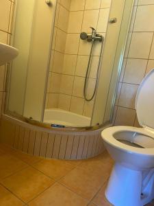 a bathroom with a shower and a toilet at Penzion a restaurace Balaton in Šluknov