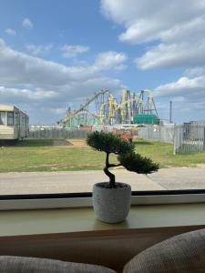 a small tree sitting on a window sill with a playground at Spacious 8 Berth Caravan in Ingoldmells in Ingoldmells +6 photos