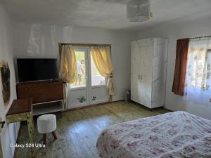 TV a/nebo společenská místnost v ubytování Casa bunicilor- liniștea prispei, răcoarea beciului și aerul poianei