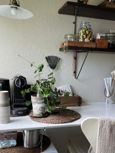 a white counter with plants on it in a kitchen at Palm Beach in Frederikshavn