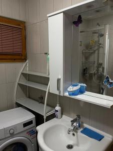a bathroom with a sink and a washing machine at PANONSKA JEZERA Zelena Oaza in Tuzla