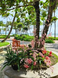 a garden with pink flowers and a bench at SUN House in Phu Quoc