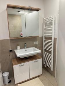 ブレゲンツにあるCharmante Wohnung in der Bregenzer Innenstadtの白い洗面台と鏡のあるバスルーム +20枚の写真