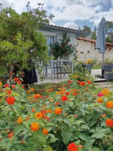 Foto dalla galleria di Gite isilda a Magescq